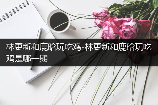 林更新和鹿晗玩吃鸡-林更新和鹿晗玩吃鸡是哪一期