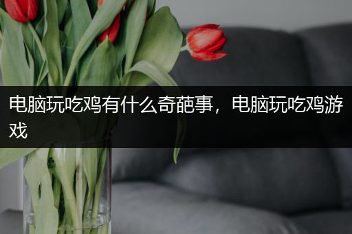 电脑玩吃鸡有什么奇葩事，电脑玩吃鸡游戏