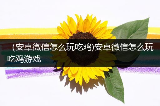 （安卓微信怎么玩吃鸡)安卓微信怎么玩吃鸡游戏