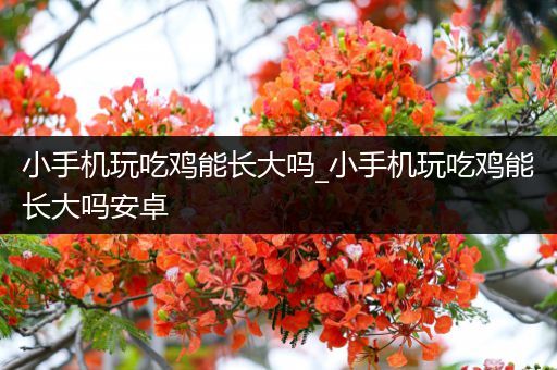 小手机玩吃鸡能长大吗_小手机玩吃鸡能长大吗安卓