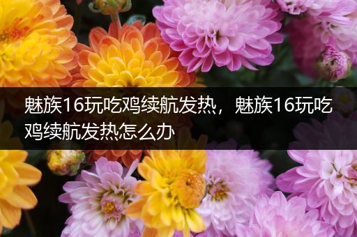 魅族16玩吃鸡续航发热，魅族16玩吃鸡续航发热怎么办