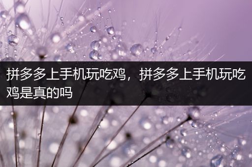拼多多上手机玩吃鸡，拼多多上手机玩吃鸡是真的吗