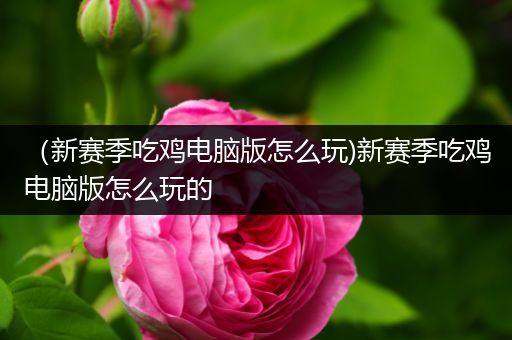 （新赛季吃鸡电脑版怎么玩)新赛季吃鸡电脑版怎么玩的