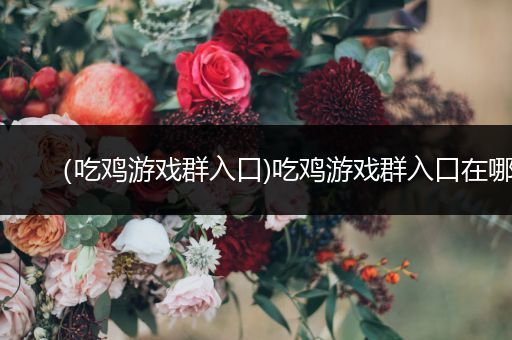 （吃鸡游戏群入口)吃鸡游戏群入口在哪