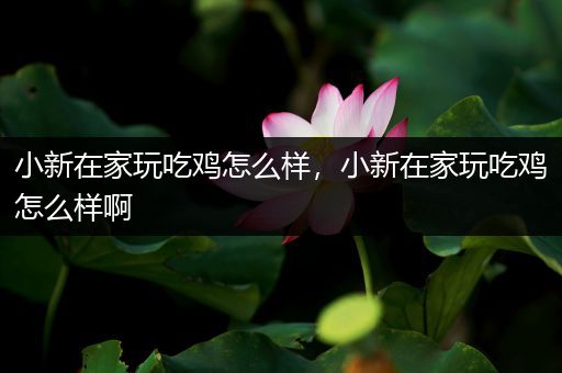 小新在家玩吃鸡怎么样，小新在家玩吃鸡怎么样啊