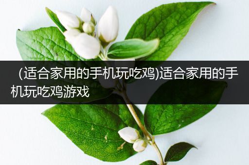 （适合家用的手机玩吃鸡)适合家用的手机玩吃鸡游戏