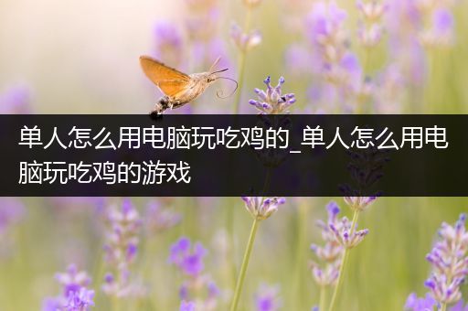 单人怎么用电脑玩吃鸡的_单人怎么用电脑玩吃鸡的游戏