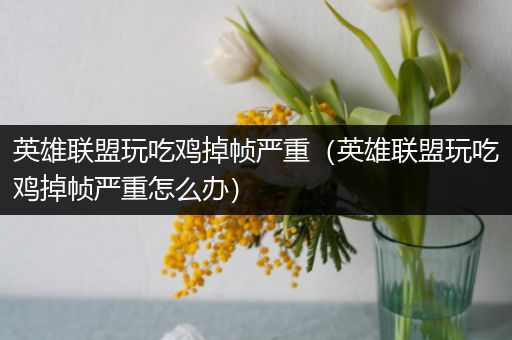 英雄联盟玩吃鸡掉帧严重（英雄联盟玩吃鸡掉帧严重怎么办）