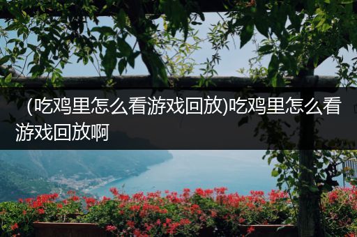 （吃鸡里怎么看游戏回放)吃鸡里怎么看游戏回放啊