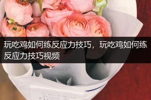 玩吃鸡如何练反应力技巧，玩吃鸡如何练反应力技巧视频