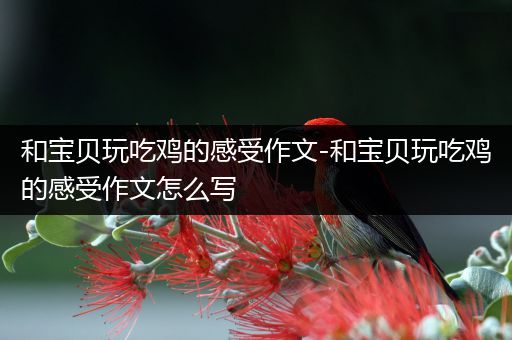 和宝贝玩吃鸡的感受作文-和宝贝玩吃鸡的感受作文怎么写