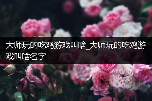 大师玩的吃鸡游戏叫啥_大师玩的吃鸡游戏叫啥名字