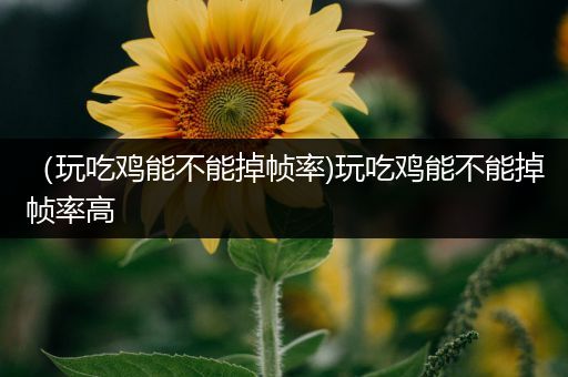 （玩吃鸡能不能掉帧率)玩吃鸡能不能掉帧率高