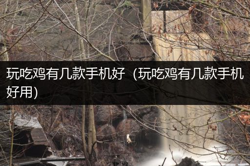 玩吃鸡有几款手机好（玩吃鸡有几款手机好用）