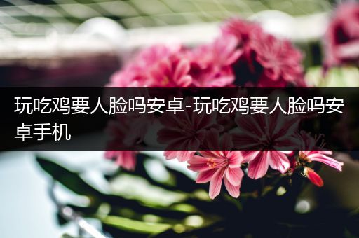 玩吃鸡要人脸吗安卓-玩吃鸡要人脸吗安卓手机
