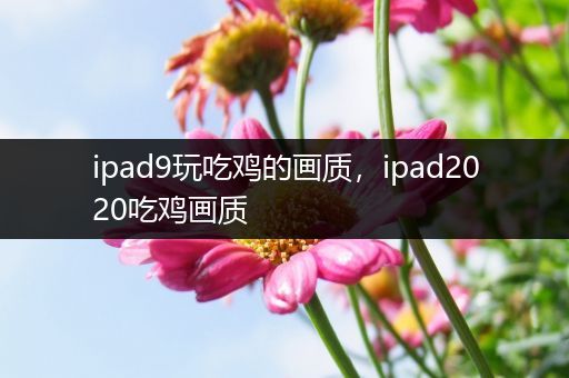 ipad9玩吃鸡的画质，ipad2020吃鸡画质