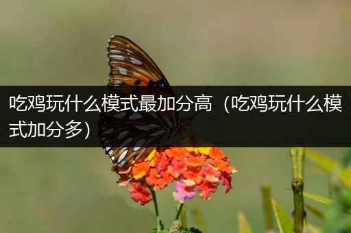吃鸡玩什么模式最加分高（吃鸡玩什么模式加分多）