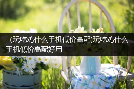 （玩吃鸡什么手机低价高配)玩吃鸡什么手机低价高配好用