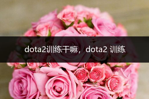 dota2训练干嘛，dota2 训练
