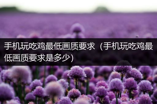 手机玩吃鸡最低画质要求（手机玩吃鸡最低画质要求是多少）