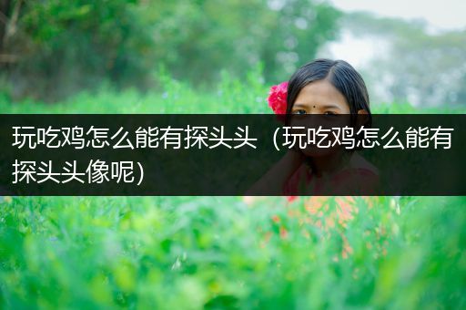玩吃鸡怎么能有探头头（玩吃鸡怎么能有探头头像呢）