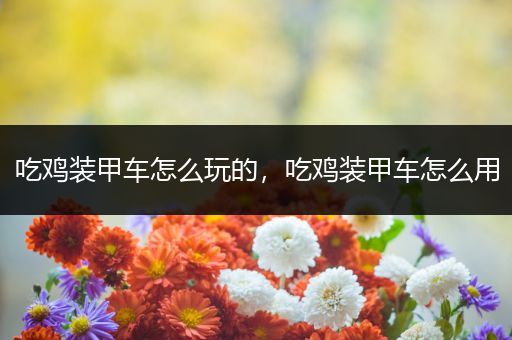 吃鸡装甲车怎么玩的，吃鸡装甲车怎么用