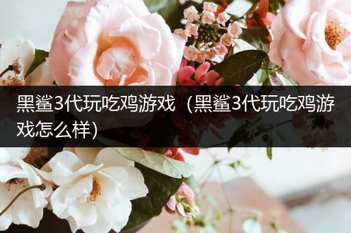 黑鲨3代玩吃鸡游戏（黑鲨3代玩吃鸡游戏怎么样）