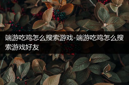 端游吃鸡怎么搜索游戏-端游吃鸡怎么搜索游戏好友