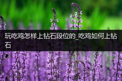 玩吃鸡怎样上钻石段位的_吃鸡如何上钻石