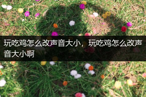 玩吃鸡怎么改声音大小，玩吃鸡怎么改声音大小啊