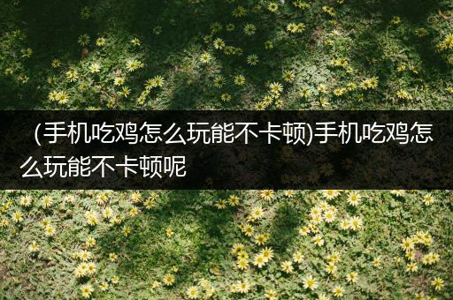 （手机吃鸡怎么玩能不卡顿)手机吃鸡怎么玩能不卡顿呢
