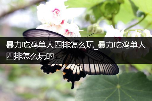 暴力吃鸡单人四排怎么玩_暴力吃鸡单人四排怎么玩的
