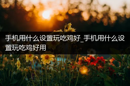 手机用什么设置玩吃鸡好_手机用什么设置玩吃鸡好用