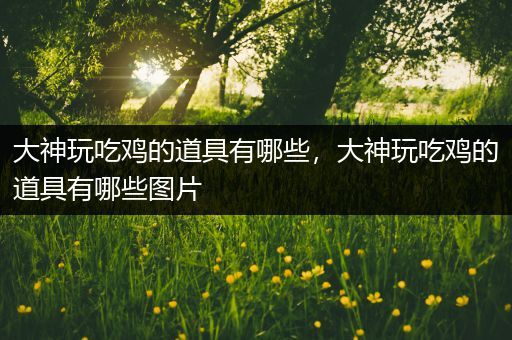 大神玩吃鸡的道具有哪些，大神玩吃鸡的道具有哪些图片