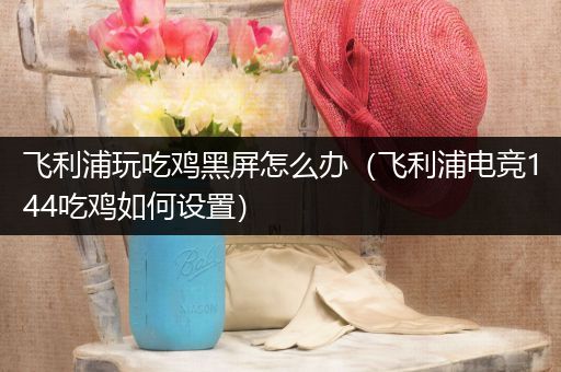 飞利浦玩吃鸡黑屏怎么办（飞利浦电竞144吃鸡如何设置）