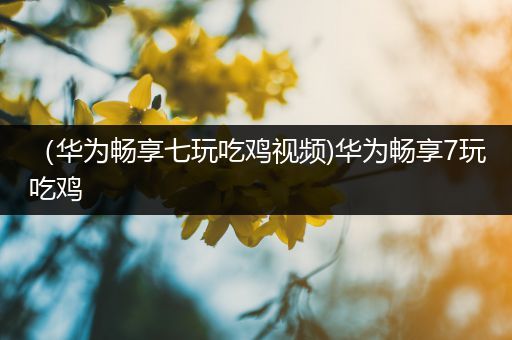 （华为畅享七玩吃鸡视频)华为畅享7玩吃鸡