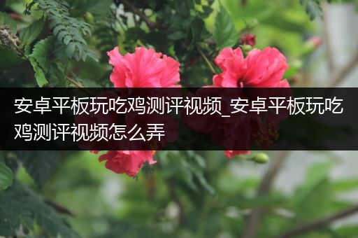 安卓平板玩吃鸡测评视频_安卓平板玩吃鸡测评视频怎么弄