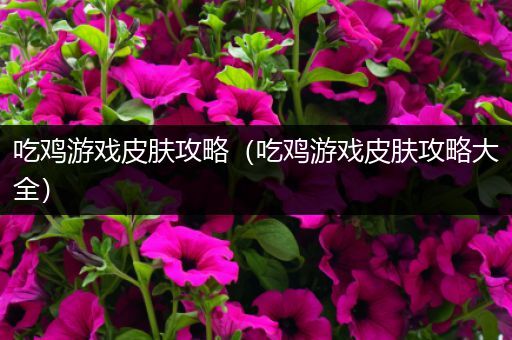 吃鸡游戏皮肤攻略（吃鸡游戏皮肤攻略大全）
