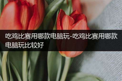 吃鸡比赛用哪款电脑玩-吃鸡比赛用哪款电脑玩比较好