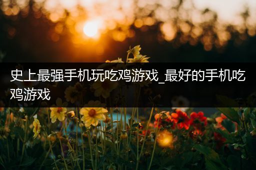史上最强手机玩吃鸡游戏_最好的手机吃鸡游戏