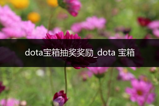 dota宝箱抽奖奖励_dota 宝箱