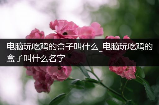 电脑玩吃鸡的盒子叫什么_电脑玩吃鸡的盒子叫什么名字