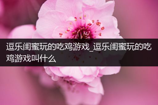 逗乐闺蜜玩的吃鸡游戏_逗乐闺蜜玩的吃鸡游戏叫什么