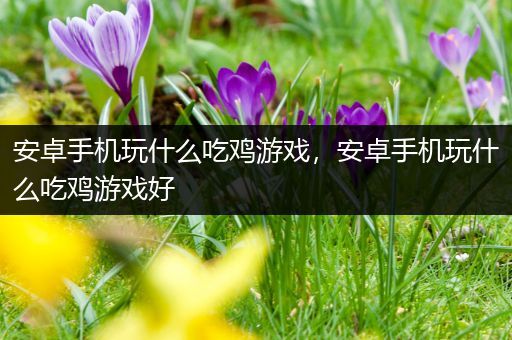 安卓手机玩什么吃鸡游戏，安卓手机玩什么吃鸡游戏好