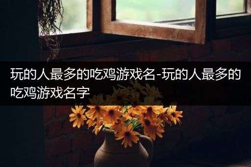 玩的人最多的吃鸡游戏名-玩的人最多的吃鸡游戏名字