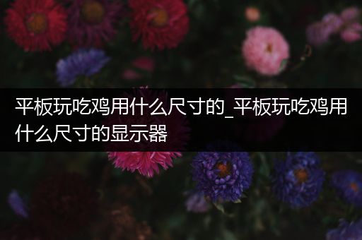 平板玩吃鸡用什么尺寸的_平板玩吃鸡用什么尺寸的显示器