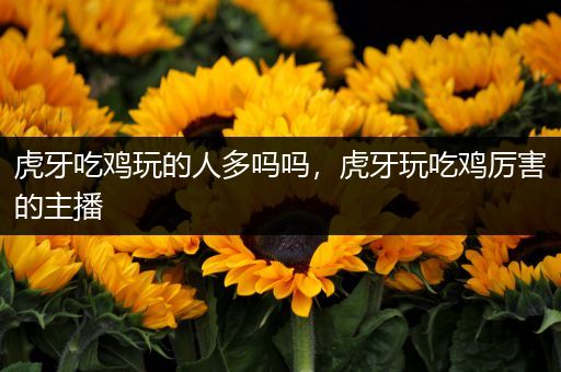 虎牙吃鸡玩的人多吗吗，虎牙玩吃鸡厉害的主播