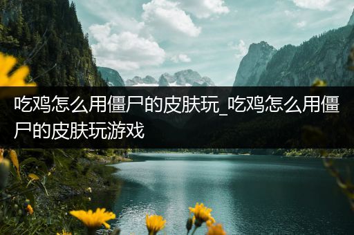吃鸡怎么用僵尸的皮肤玩_吃鸡怎么用僵尸的皮肤玩游戏