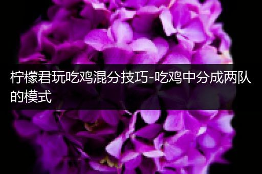 柠檬君玩吃鸡混分技巧-吃鸡中分成两队的模式