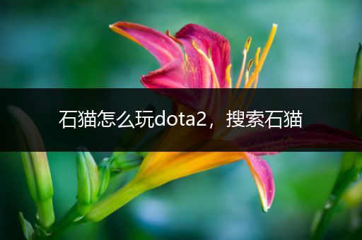 石猫怎么玩dota2，搜索石猫